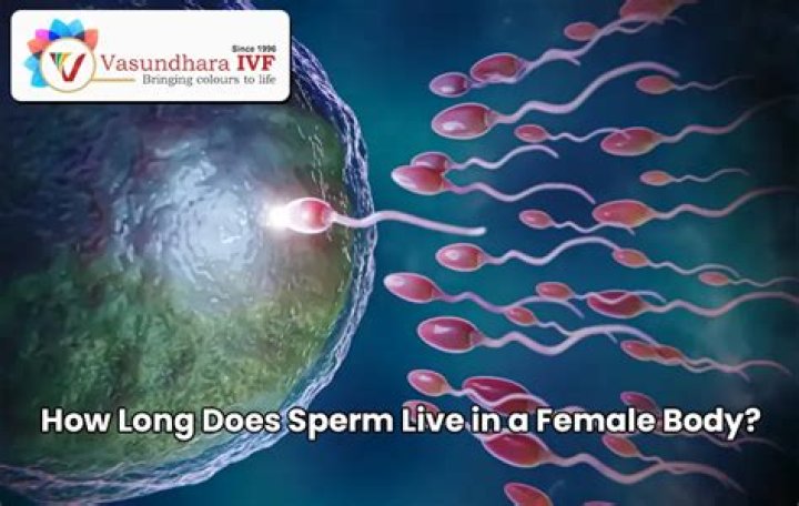 How long does sperm live outside the body at room temperature?