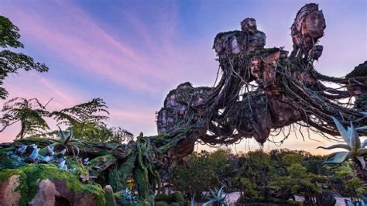 How long is the avatar ride in Animal Kingdom?