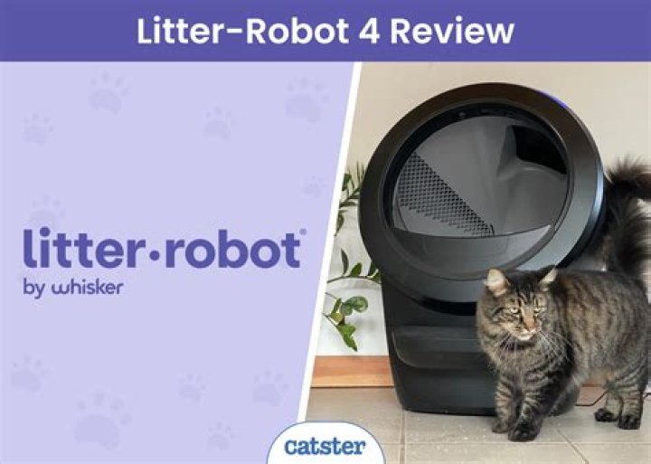 How many cats are in a litter robot?