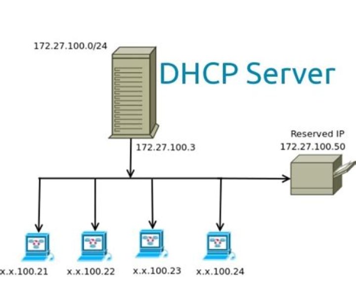 How many DHCP servers are in a domain?
