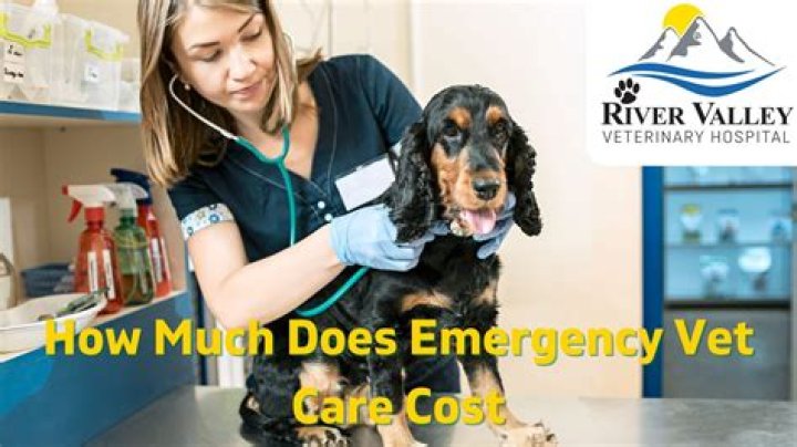 How much are emergency vet fees?