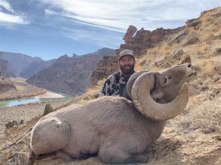 How much does a bighorn sheep hunt cost?