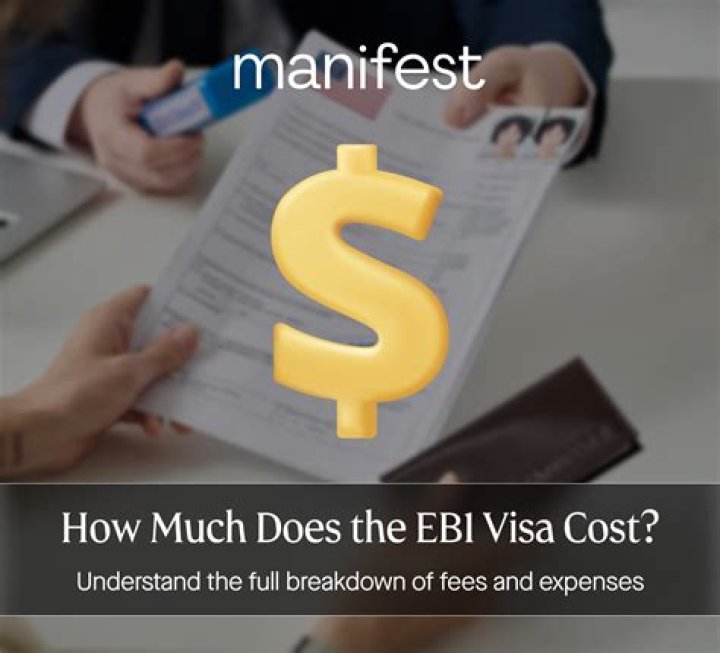 How much does an E visa cost for India?
