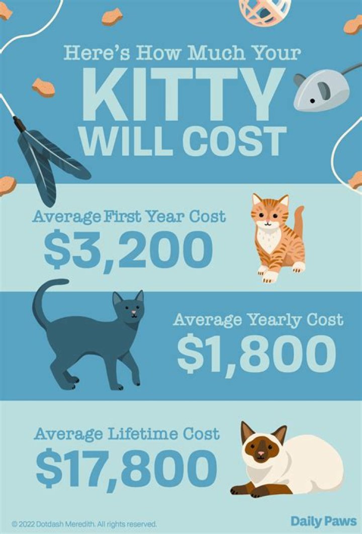 How much does it cost to get a cat from Petco?
