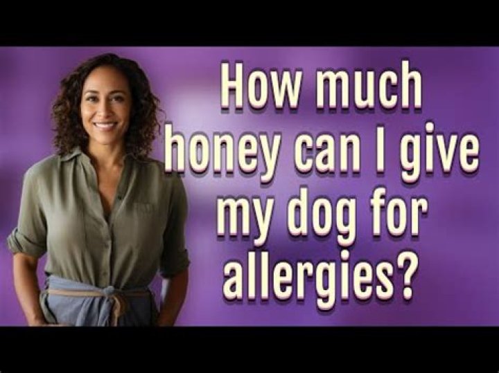 How much honey can a dog have?