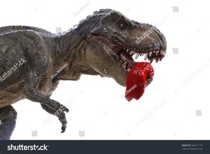 How much meat does at Rex eat?