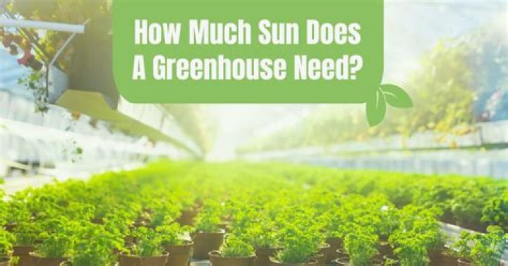 How much sunlight does a greenhouse need?