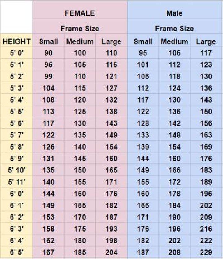 How much weight do you lose in the first month after gastric sleeve?