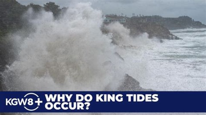 How often is there a king tide?
