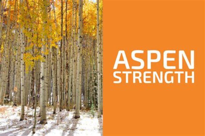 Is Aspen a hardwood or a softwood?