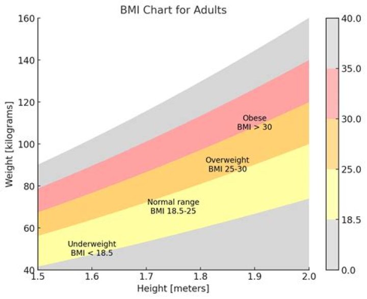 Is BMI chart accurate?