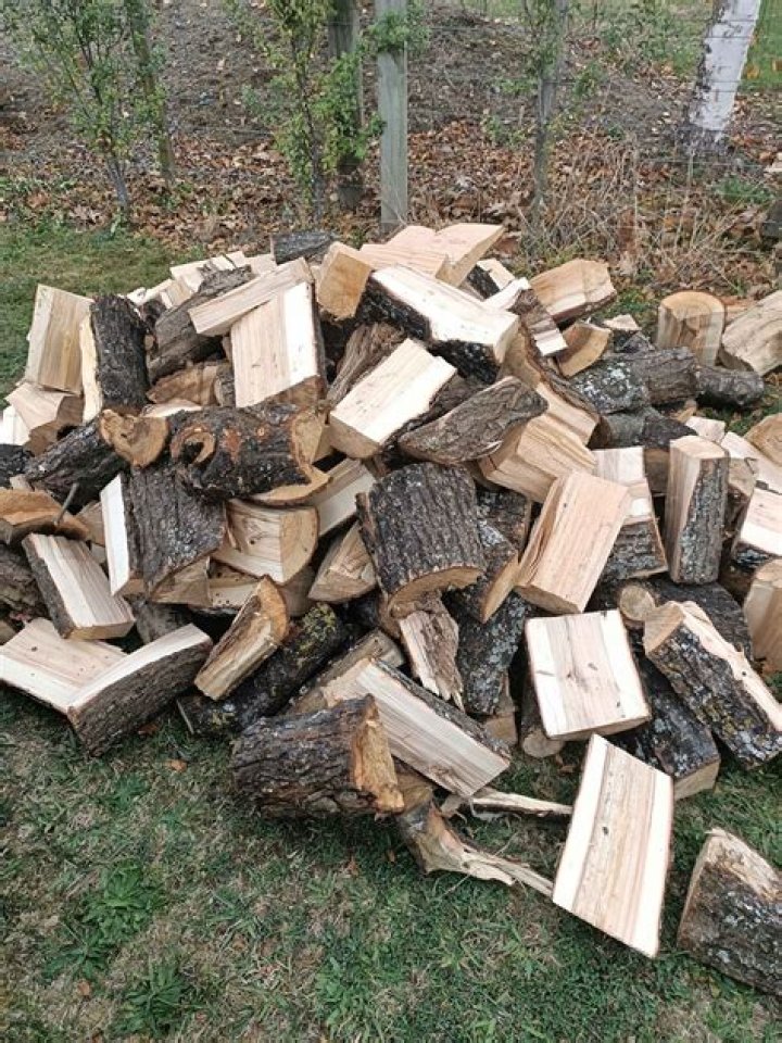 Is Dogwood good firewood?