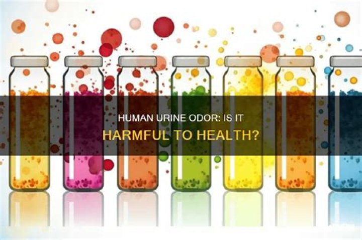 Is it harmful to breathe urine?