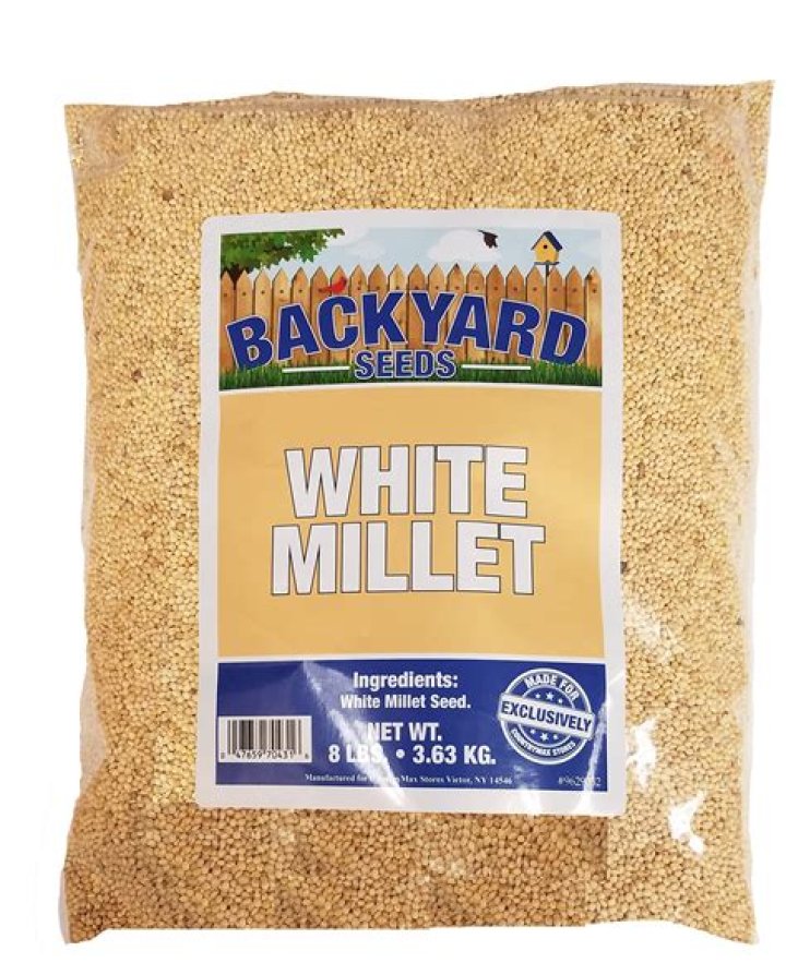 Is millet a bird seed?