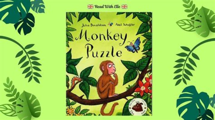 Is Monkey Puzzle a hardwood or softwood?
