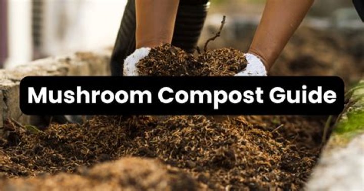 Is mushroom compost any good?