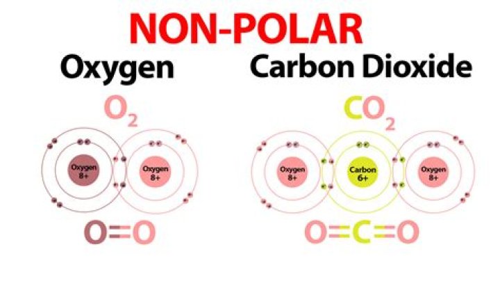 Is o2 polar or nonpolar?