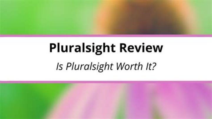 Is Pluralsight good for beginners?
