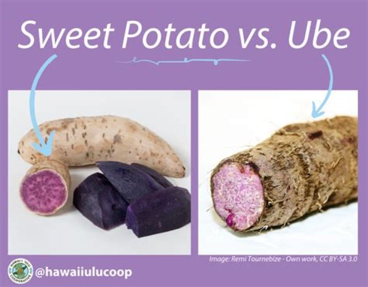 Is purple sweet potato the same as Ube?