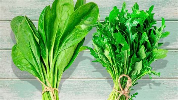 Is spinach or arugula better for you?