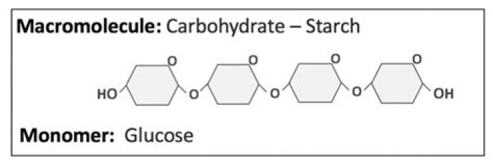 Is starch a monomer or polymer?