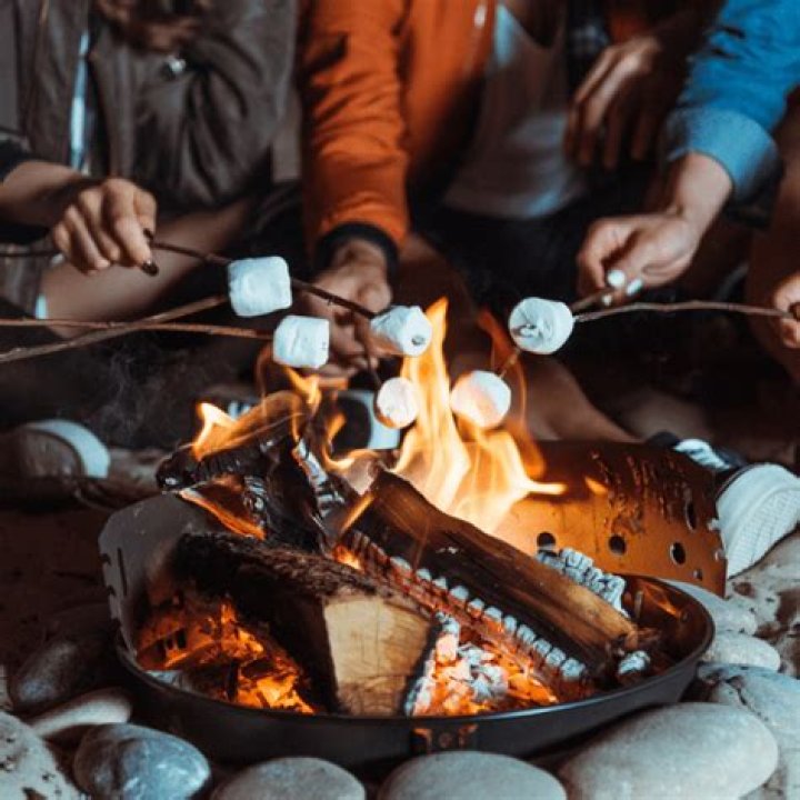 Is there pork in marshmallows?