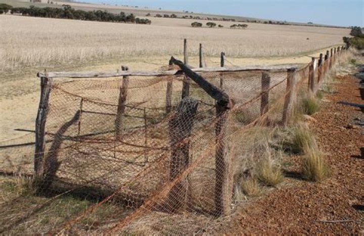 Is there still a Rabbit Proof Fence in Australia?