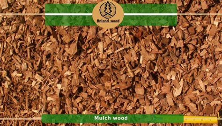 Is wood chip the same as bark?