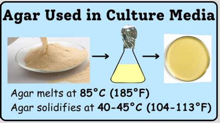 What's Agar made of? | ContextResponse.com