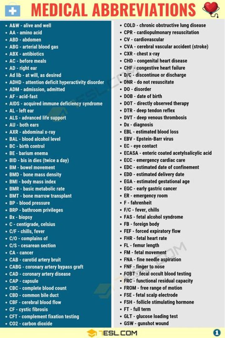 What are common medical abbreviations?
