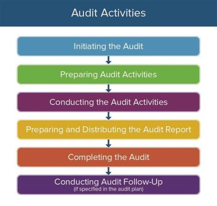 What are control activities in auditing?