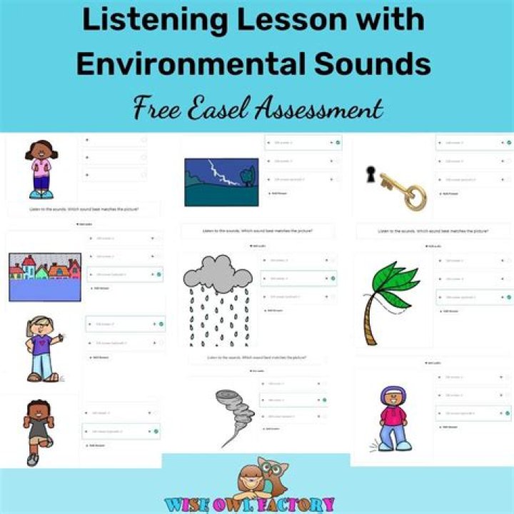 What are environmental sounds?