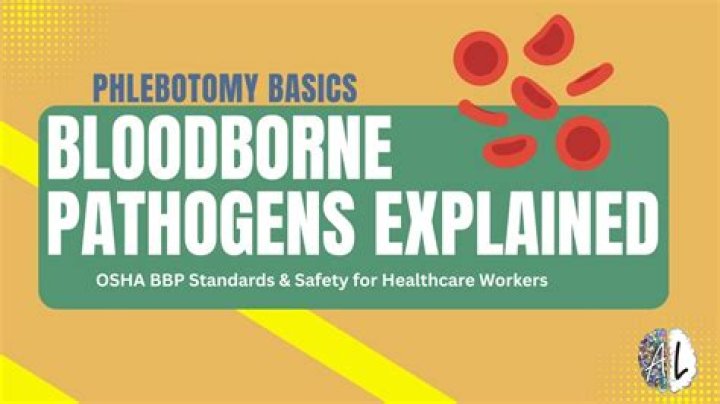 What are the 3 primary bloodborne pathogens?