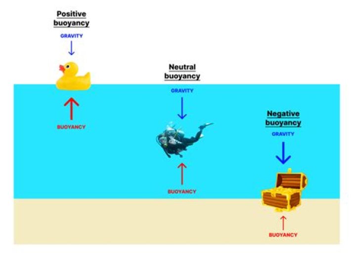 What are the 3 types of buoyancy?