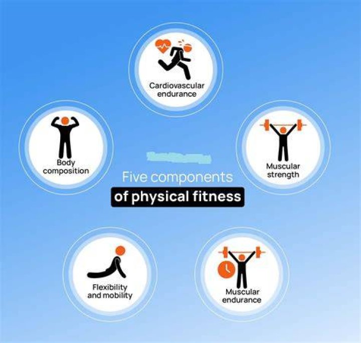 What are the 5 components to fitness?