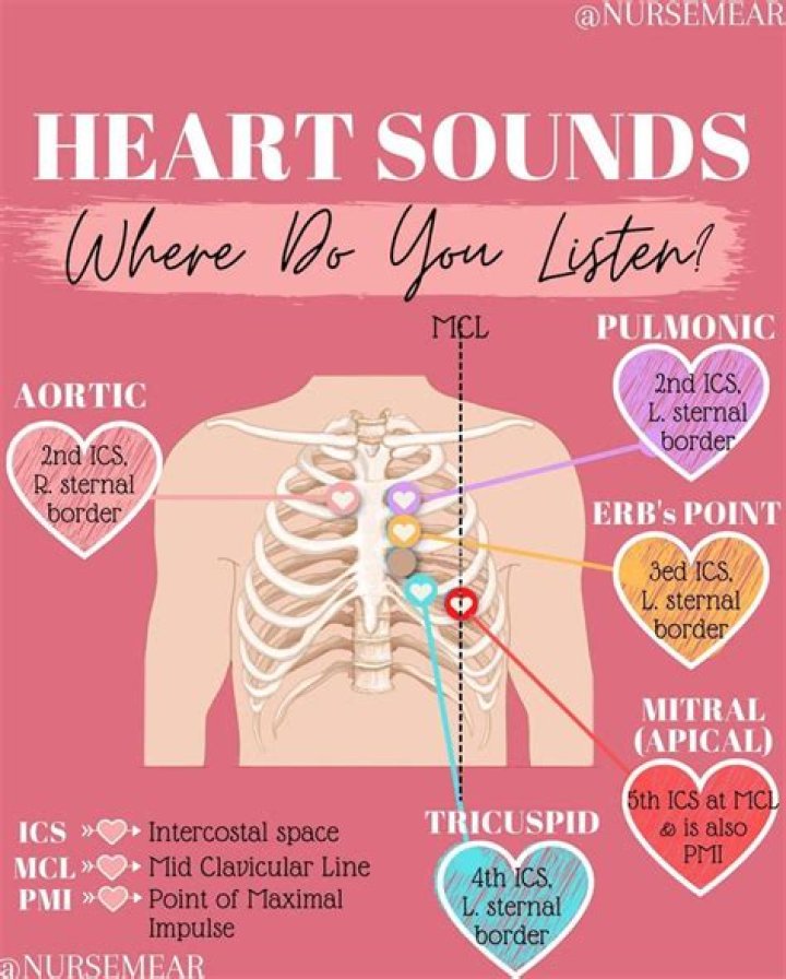 What are the 5 heart sounds?