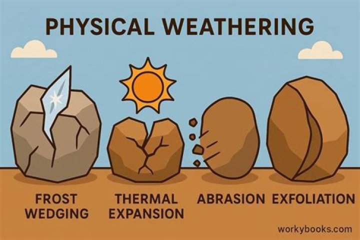 What are the 6 agents of physical weathering?