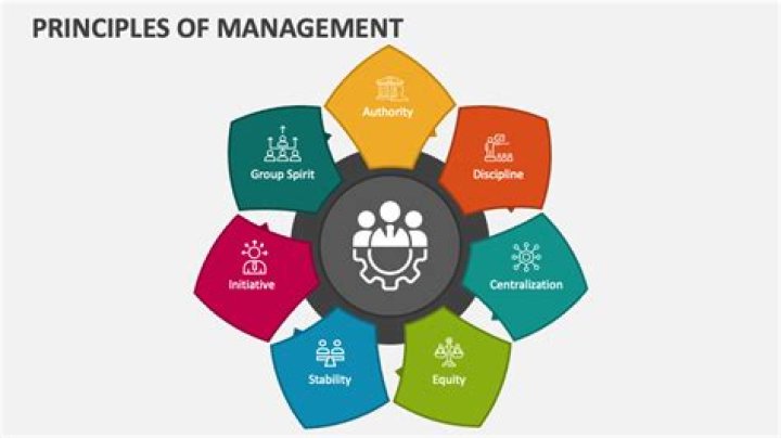 What are the basic principles of management?