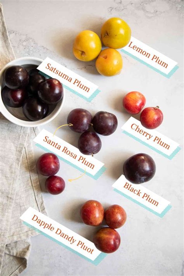 What are the different varieties of plums?