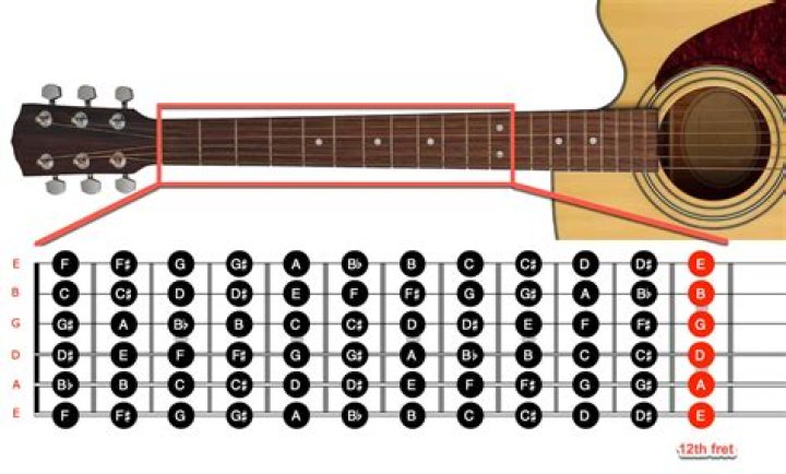What are the dots on guitar fretboard for?