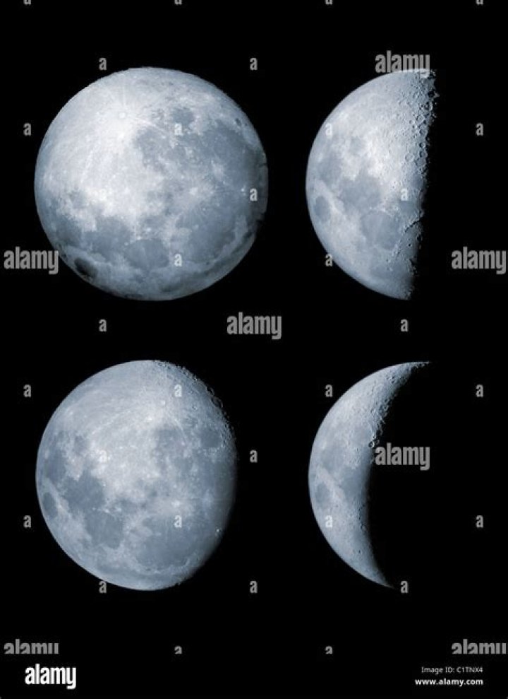 What are the four phases of the moon?