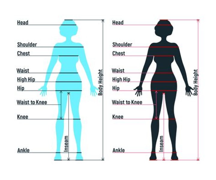 What are the ideal female measurements?
