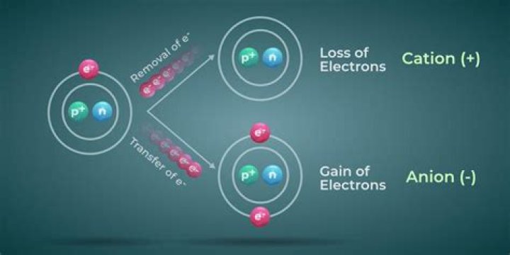 What are the major cations and anions in the body?