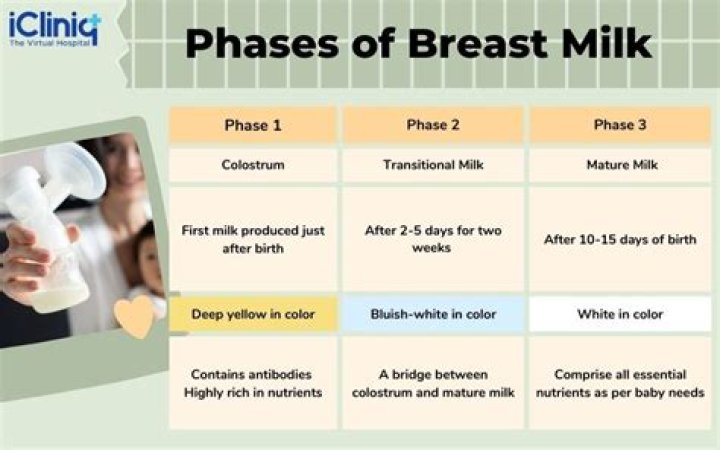 What are the stages of breast milk?