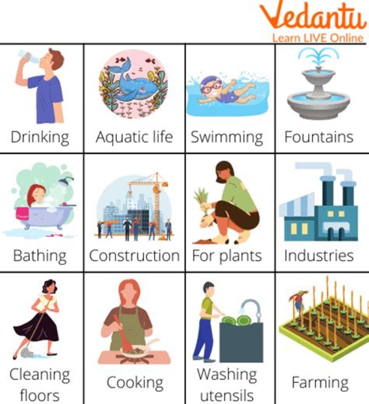 What are the uses and importance of water?