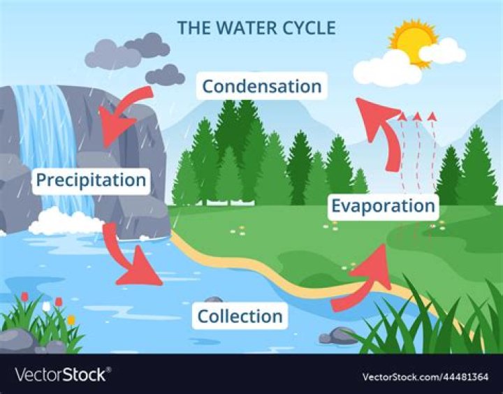 What are three examples of evaporation?