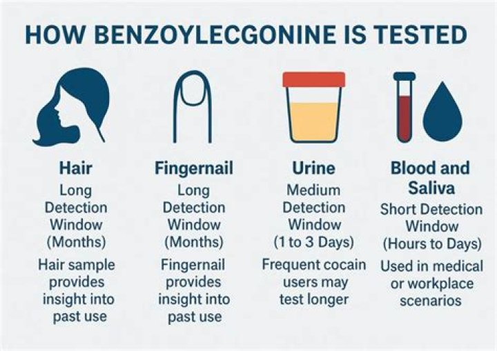 What can cause a false positive for benzoylecgonine?