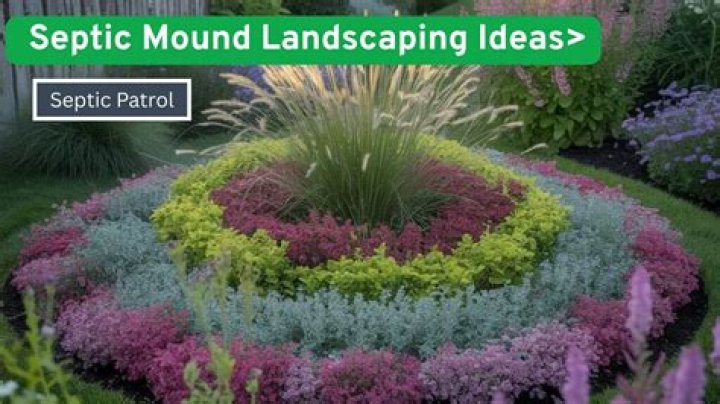 What can I plant on a septic mound?