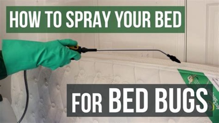 What can I spray on mattress for bed bugs?