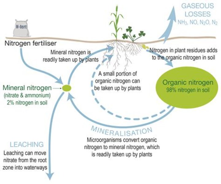 What causes nitrogen depletion in soil?